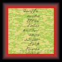 Sana-u-Allah Shah Who kay zamana 01 * 22.03.2008 * 333 x 470 * (38KB)